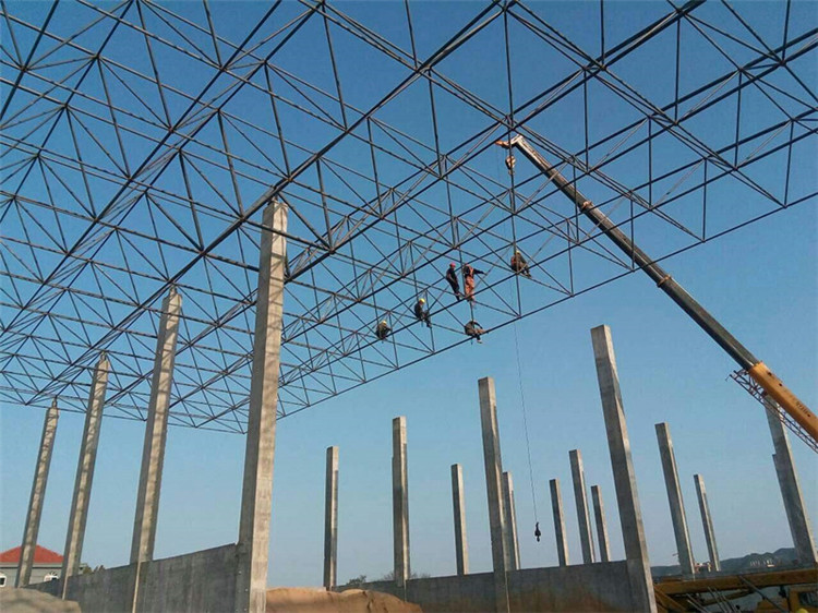 汨罗加气站钢结构网架案例10